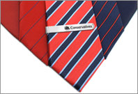Conservatives - Red to Blue tie
